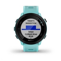 Garmin GPS sportovní hodinky Forerunner 55 Blue, EU