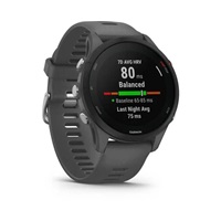 Garmin GPS sportovní hodinky Forerunner® 255, Slate Gray, EU