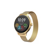 CARNEO Hero mini HR+ gold