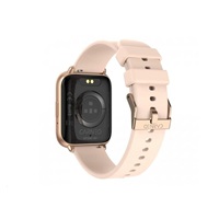 CARNEO Artemis HR+ gold