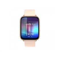 CARNEO Artemis HR+ gold