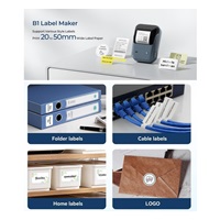 Niimbot Tiskárna štítků B1 Smart, lake blue + role štítků 210ks