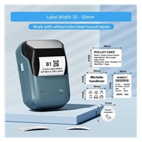 Niimbot Tiskárna štítků B1 Smart, lake blue + role štítků 210ks