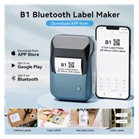 Niimbot Tiskárna štítků B1 Smart, lake blue + role štítků 210ks