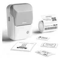 Niimbot Tiskárna štítků B1 Smart, grey + role štítků 210ks