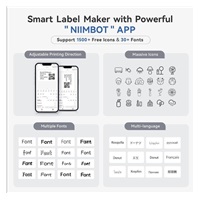 Niimbot Tiskárna štítků B1 Smart, grey + role štítků 210ks