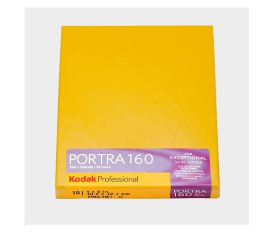 Kodak Portra 160 4x5 10 Sheets