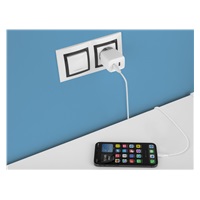 AVACOM HomePRO 2 síťová nabíječka s Power Delivery 40W se dvěma USB-C výstupy