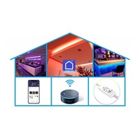 CARNEO LED Pás RGB WIFI 5M