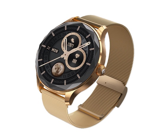 Garett Smartwatch Viva gold steel