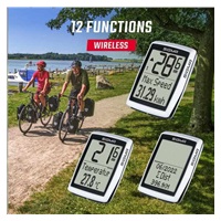 Sigma BC 12.0 WL STS