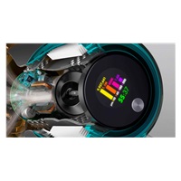 Dyson V15 Detect Absolute Gold