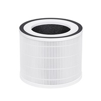 Salente MaxClean, náhradní filtr k čističce vzduchu