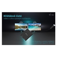 i-tec USB-A/USB-C Dual 4K DP Video Adapter