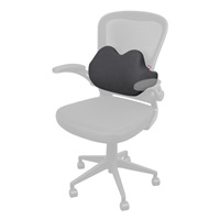 CONNECT IT Anatomická bederní opěrka na židli For Health BetaPro, Šedá