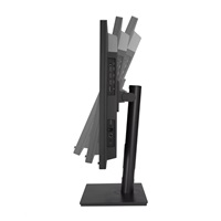 ASUS LCD 32" HA3281A HealthCare Monitor 3840 x 2160 OLED, Self / Auto Calibration, USB-C, HDMI