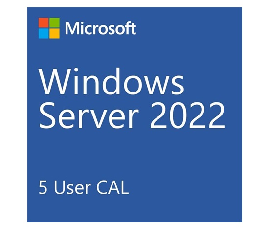 DELL Windows Server 2022 Standard,No Media, WS2019 Std Downgrade w/DVD Media,Multi Lang, Customer Kit