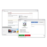 AnyDesk Standard addon Additional Connection, 3 roky nová licence