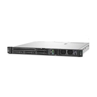 HPE PL DL20g11 E-2436 (2.9G/6C) 1x32G 2x480G VROC 4SFF 1x800W 4x1G NBD333 Smart Choice