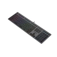 A4tech Klávesnice FX60, Podsvícená barevná, USB, CZ, šedá