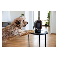 Lauben Desk Fan&Heater 2in1 600BB - Poškozený obal (Komplet)