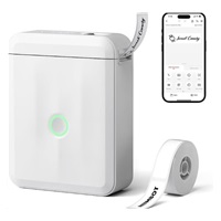 Niimbot Tiskárna štítků D110-M Smart, bílá + role štítků 160 ks