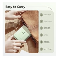 Niimbot Tiskárna štítků D110-M Smart, zelená + role štítků 160 ks