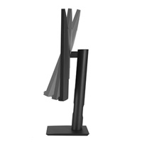 ASUS LCD 24" HA2441A HealthCare Monitor 2560 x 1440  DICOM Preset Auto Calibration  USB-C HDMI  DisplayPort Daisy-chain