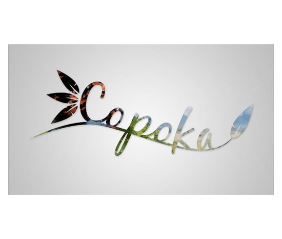 Copoka (PC) klíč Steam