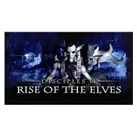 Disciples II Rise of The Elves (PC) klíč Steam