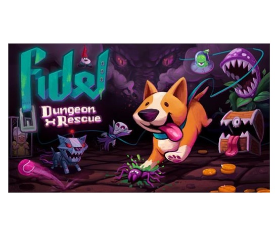 Fidel Dungeon Rescue (PC) klíč Steam