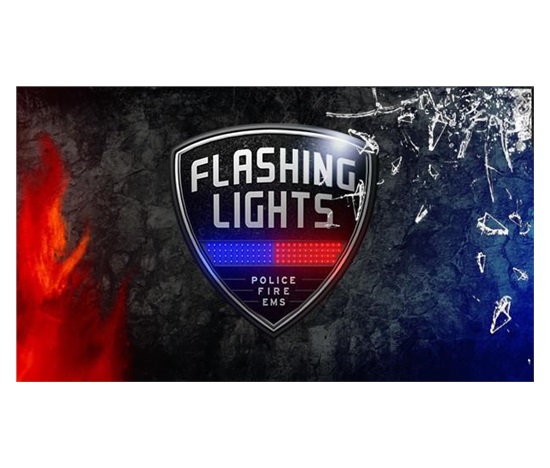Flashing Lights - Police Fire EMS (PC) klíč Steam
