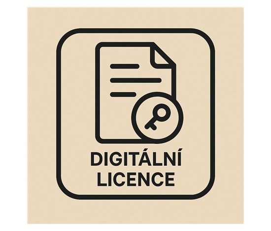 PAC-MAN 256 (PC) klíč Steam