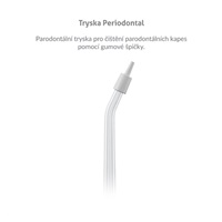 TrueLife AquaFloss L-series jets Periodontal 4 pack