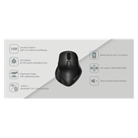 ASUS MW203 Multi-Device Wireless Silent Mouse, modrá