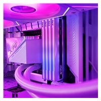 ADATA XPG DIMM DDR5 32GB (Kit of 2) 8000MHz CL38 Lancer NEON RGB