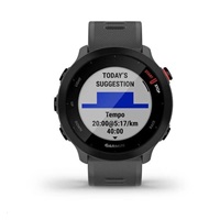 Garmin GPS sportovní hodinky Forerunner 55 Grey, EU
