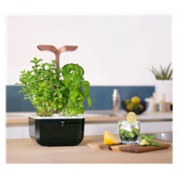 Véritable Exky SMART - Automatický květináč s regulací osvětlení, černá měděná + 2 bylinkové náplně