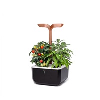 Véritable Exky SMART - Automatický květináč s regulací osvětlení, černá měděná + 2 bylinkové náplně