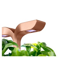 Véritable Exky SMART - Automatický květináč s regulací osvětlení, černá měděná + 2 bylinkové náplně