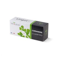 Véritable Lingot Koriandr