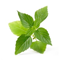 Véritable Lingot Tymián - BIO