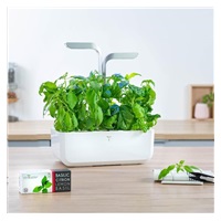 Véritable Lingot Tymián - BIO