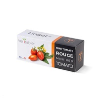 Véritable Lingot Červené mini rajče