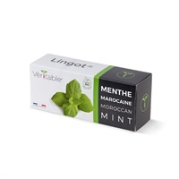 Véritable Lingot Marocká máta - BIO