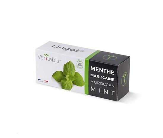 Véritable Lingot Marocká máta - BIO