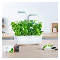 Véritable Lingot Thajská bazalka - BIO