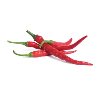 Véritable Lingot Cayenne pálivé chilli