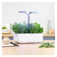 Véritable Lingot Rozmarýn