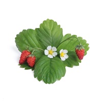 Véritable Lingot Divoké červené jahody